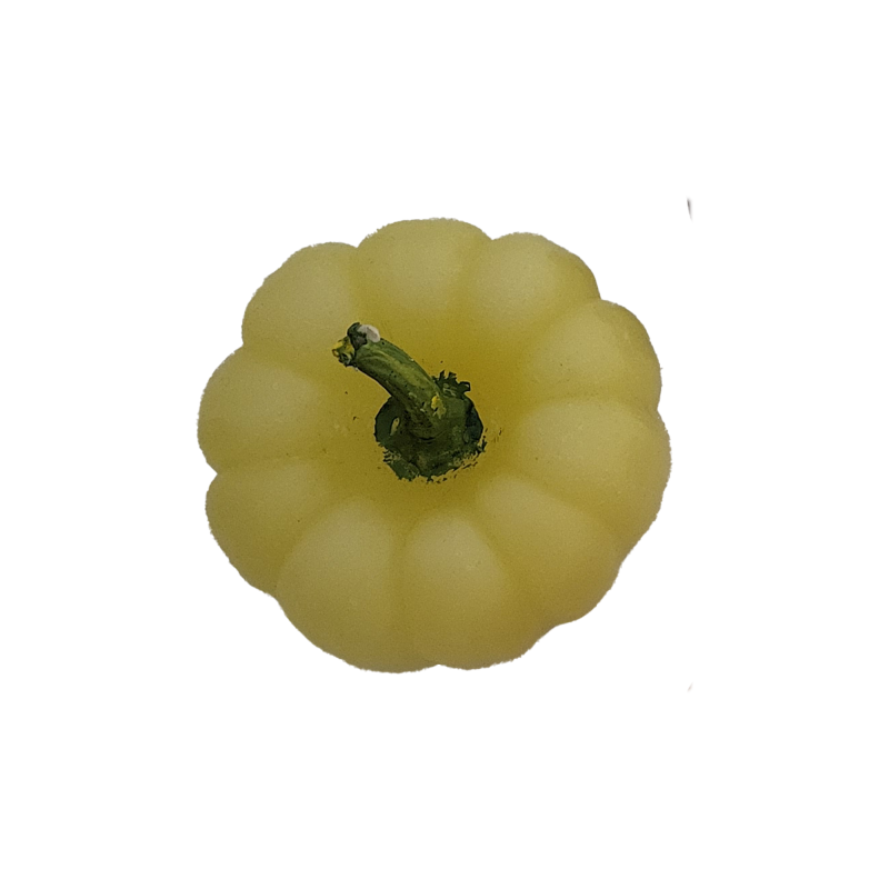 Süs Kabağı Mum